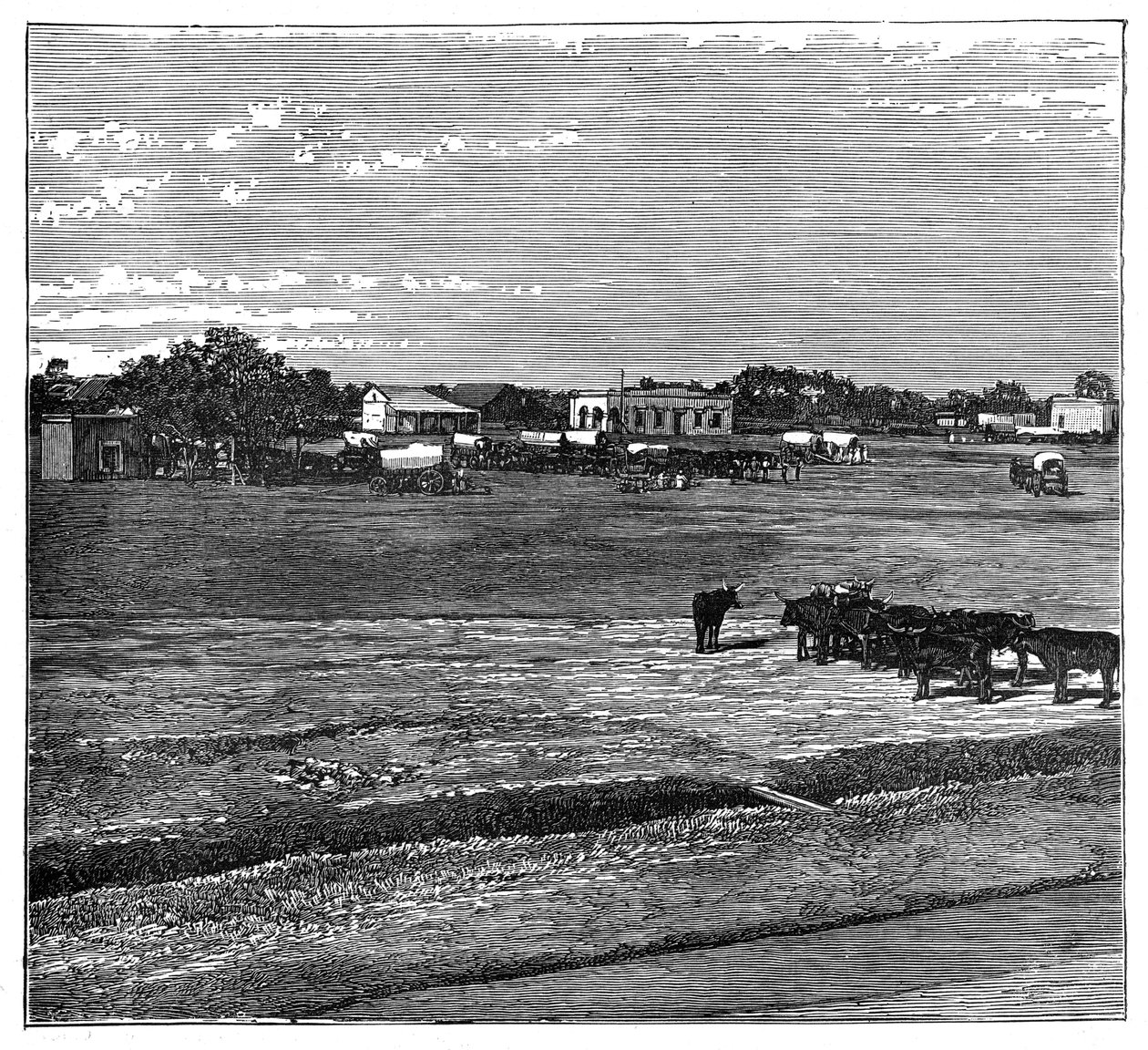 Potchefstroom、Transvaal、南アフリカ、c1890 作： 不明