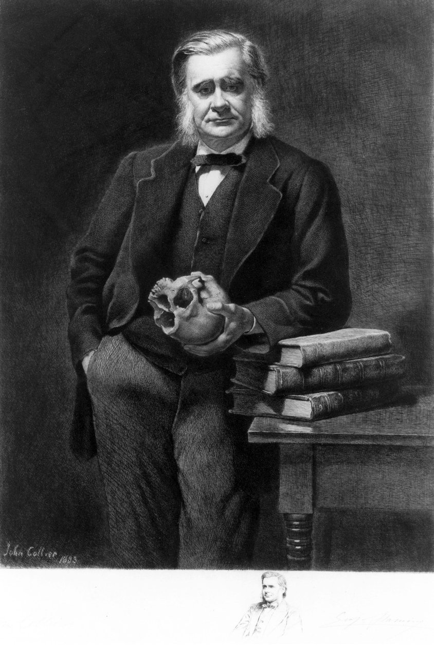 トーマス・ヘンリー・ハクスリー教授（英国の生物学者 作： 不明