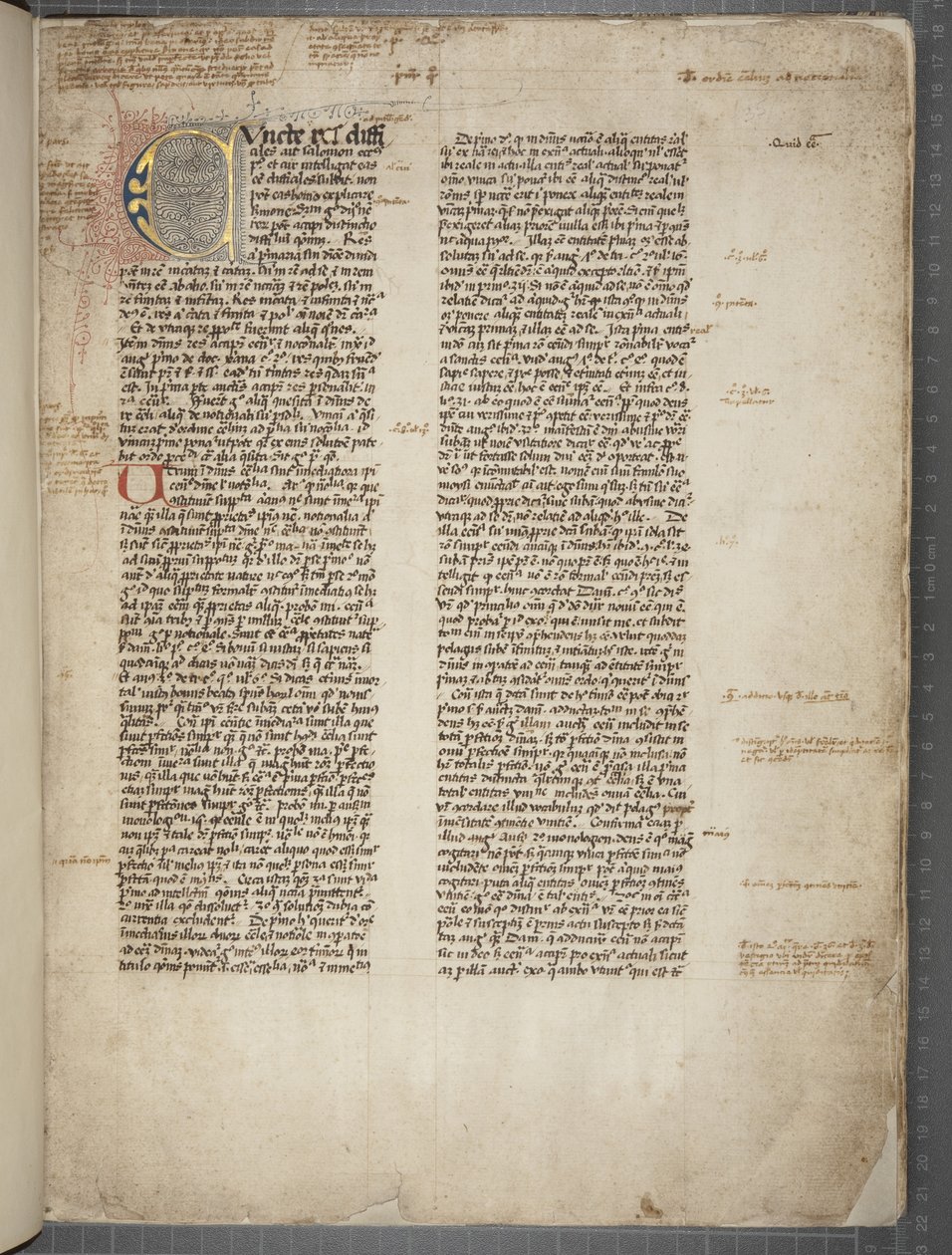 ニコラス・オブ・ライラの「四つの書物における質問」（Quaestiones in quattuor libros Sententiarum et Quodlibeta 作： 不明