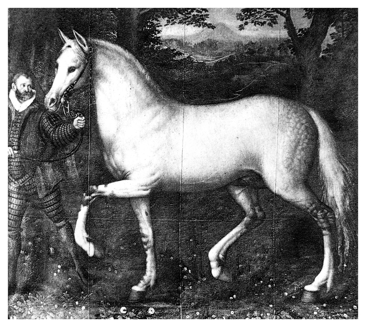 エリザベス女王は馬、1896年 作： 不明