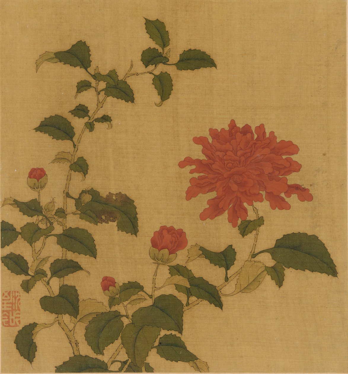 赤牡丹、清王朝、18 世紀。 作： 不明