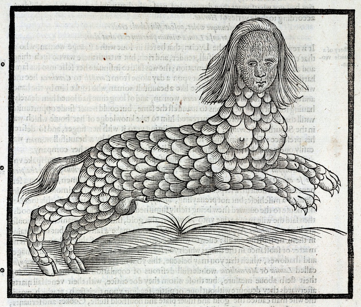 「エドワード・トプセルが1607年に発表した「四足の獣の歴史」のタイヤ付きグラヴュール。 作： 不明
