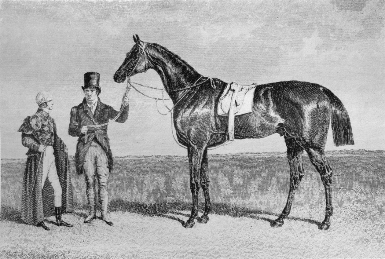 ロッキンガム、1830-1842、1911 作： 不明