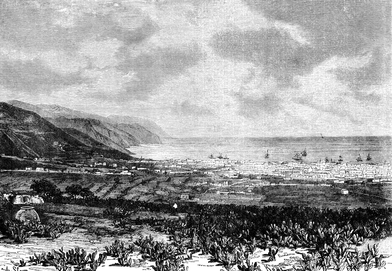 サンタクルス、テネリフェ島、スペイン、1895 作： 不明