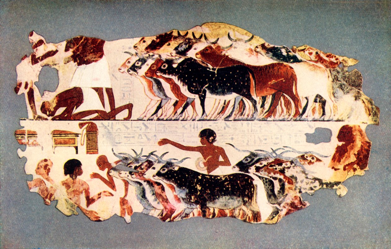「エジプトの農場で牛の大群を運転するシーン」、紀元前 1350 年頃、1915 年。 作： 不明