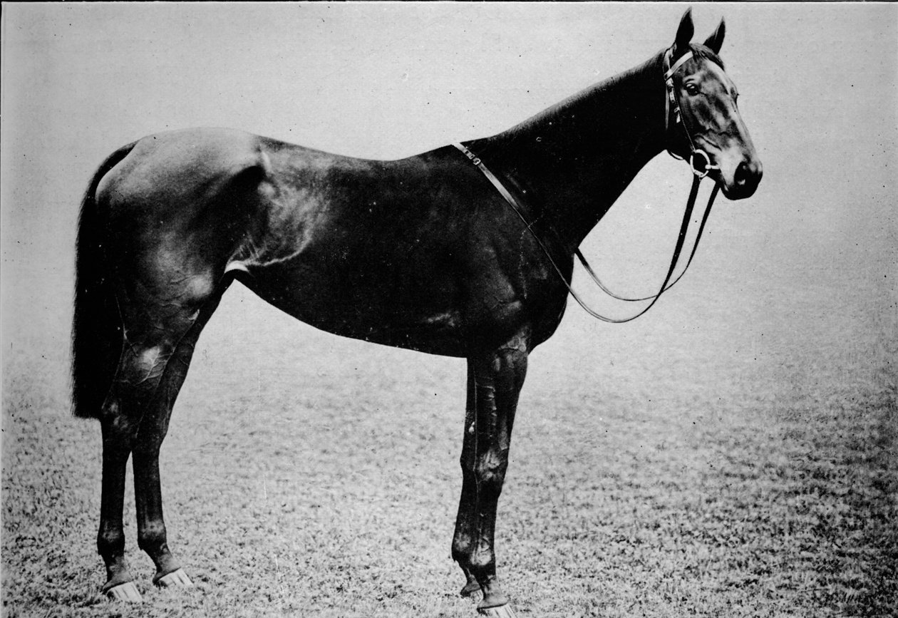 セプター、1899-1926、1911 作： 不明