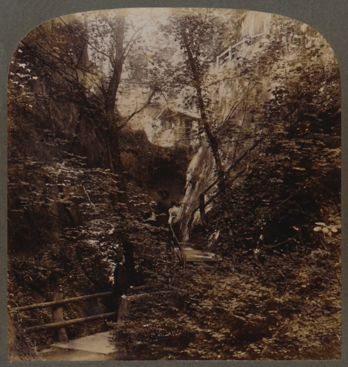 世界的に有名なシャンクリン・チャイン、イギリス、ワイト島、c1910。 作： 不明