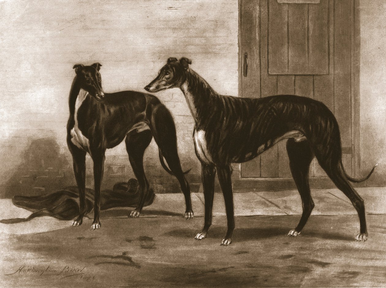 Simonian and Fullerton、c1891、1911。 作： 不明