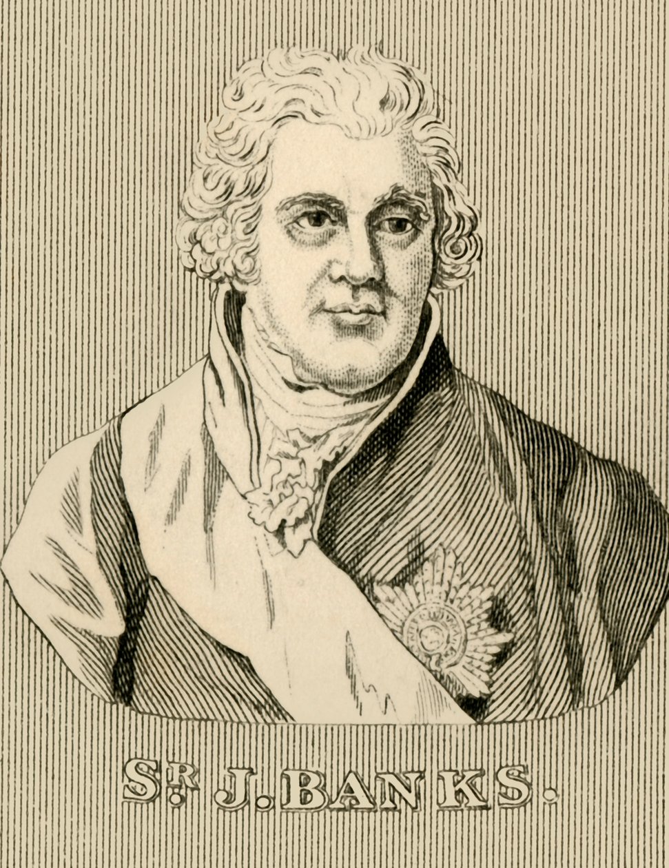 サー・J・バンクス、1743-1820、1830。 作： 不明