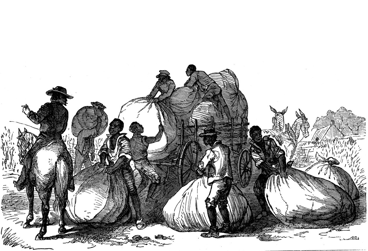 Slave labour loading sacks of cotton on cart, Southern states of USA   721417   ja       japanese Successfully Translated  Original: View of London Bridge and St. Pauls Cathedral Translat: View of London Bridge and St. Paul