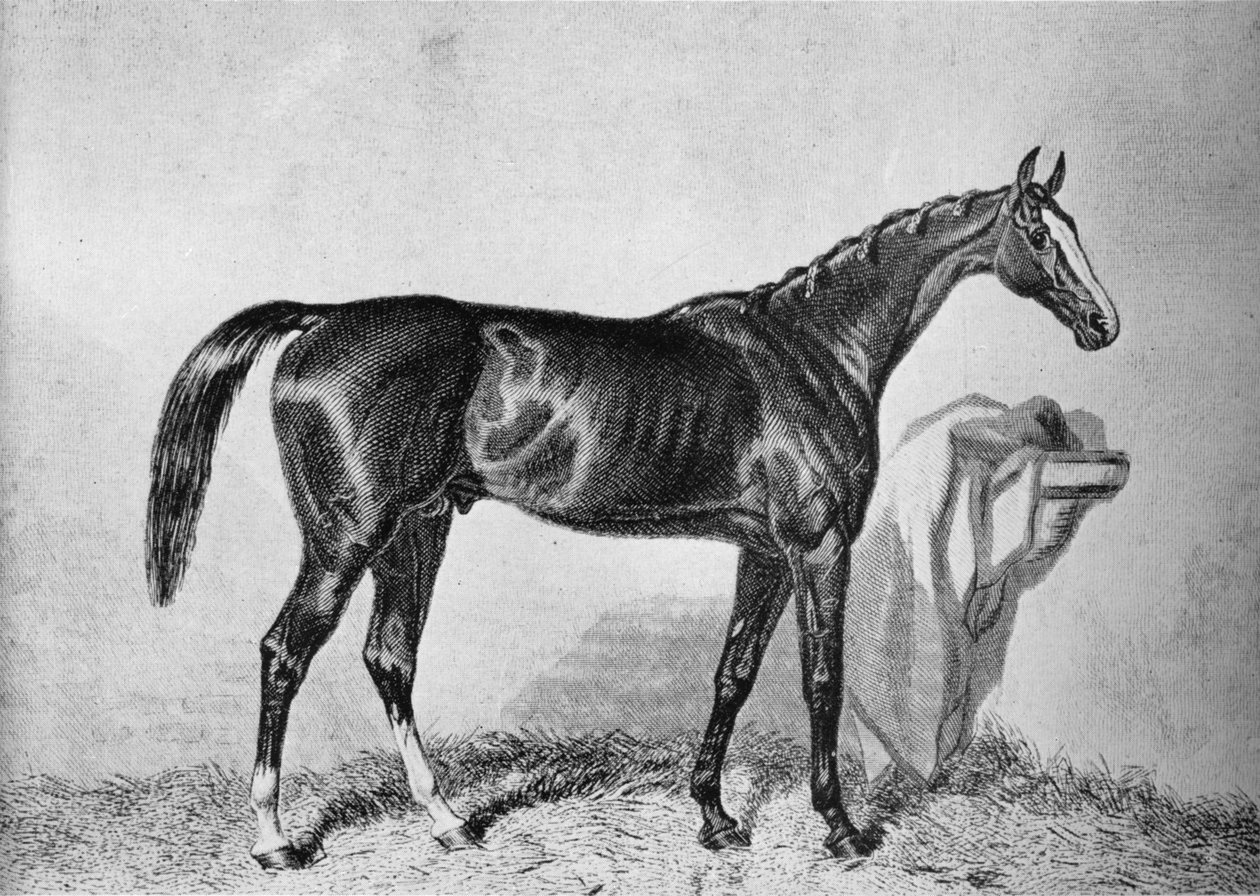 セントオールバンズ、19世紀、1911 作： 不明