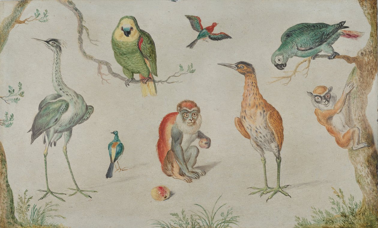 鳥とサルの研究、16601670。 作： 不明