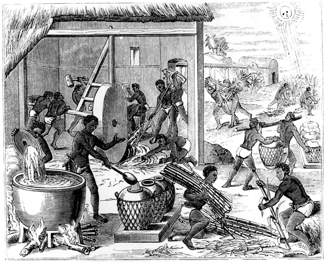 砂糖生産、1873 作： 不明
