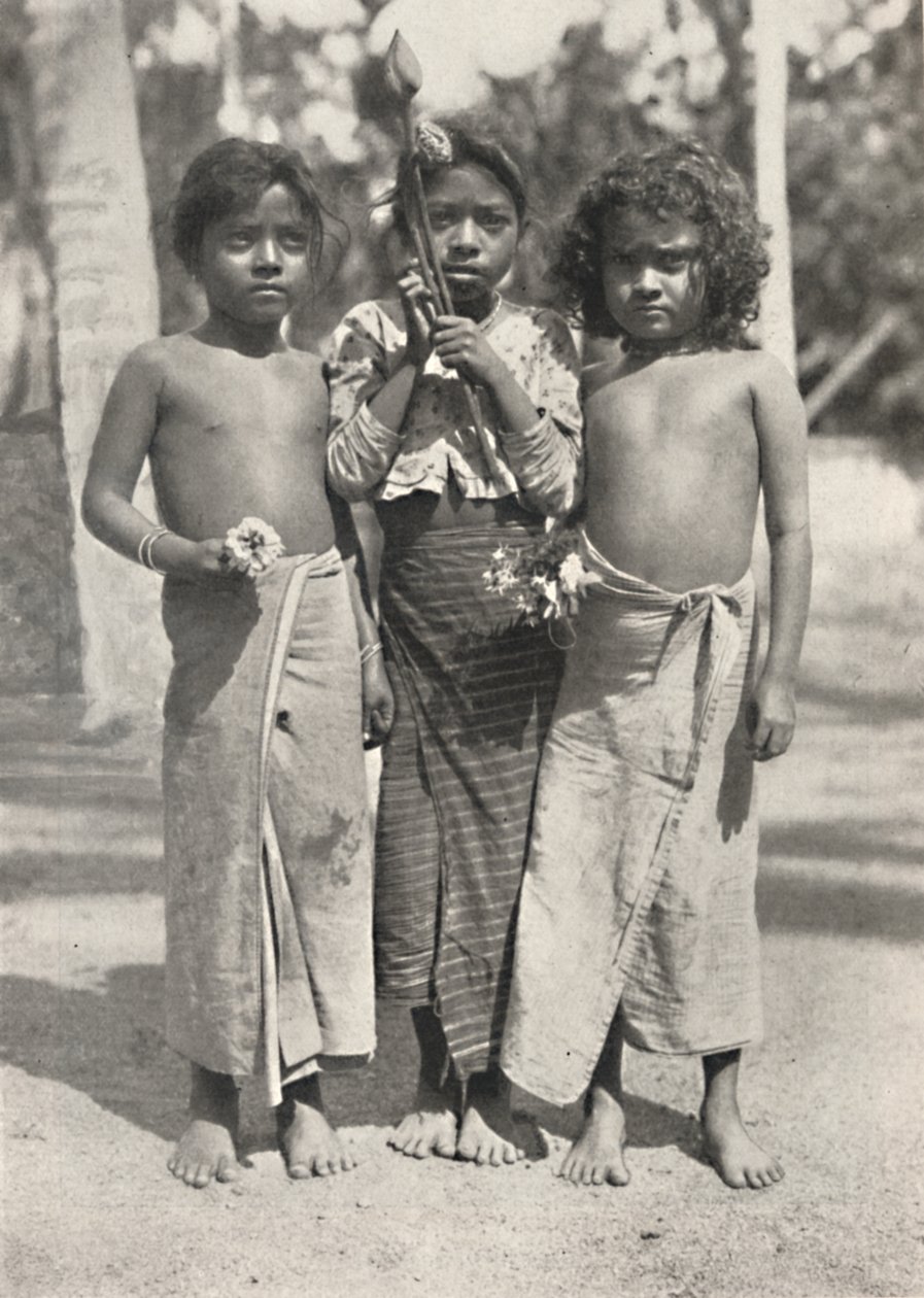 Tamulenkinder、1926 作： 不明