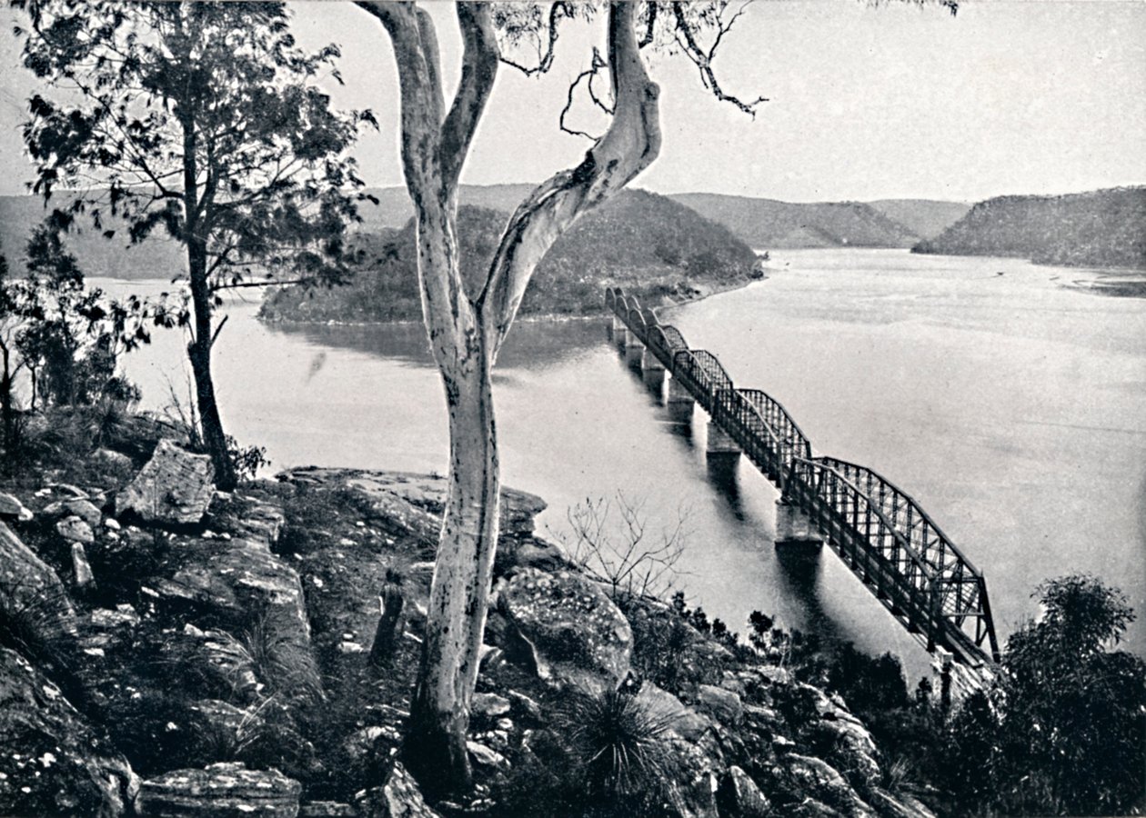 ホークスベリー川と橋、c1900。 作： 不明