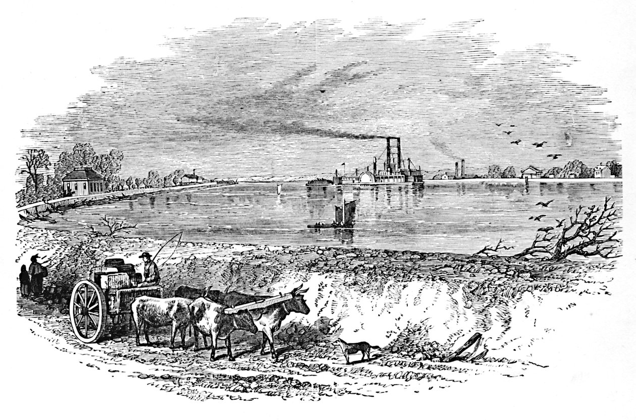 堤防、1883年 作： 不明