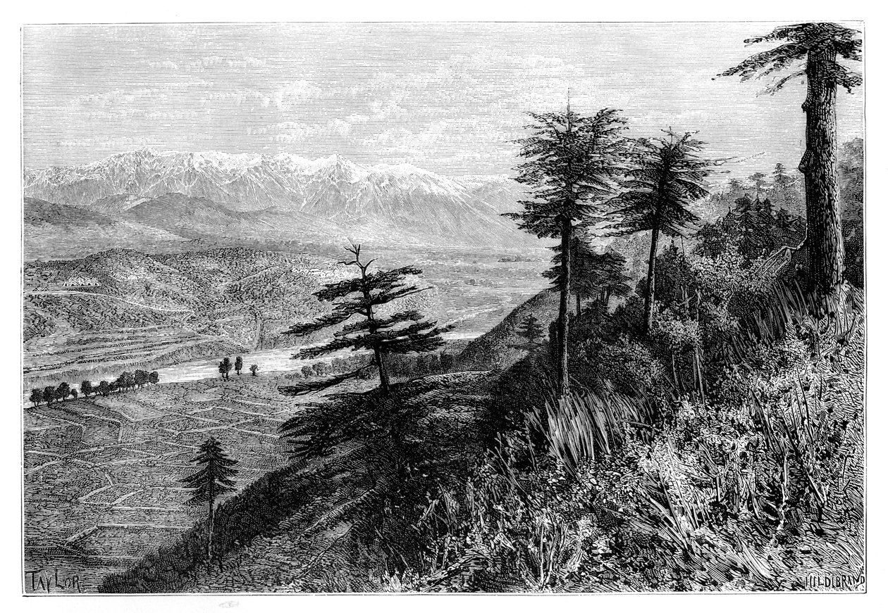 パイワル峠、1895 作： 不明