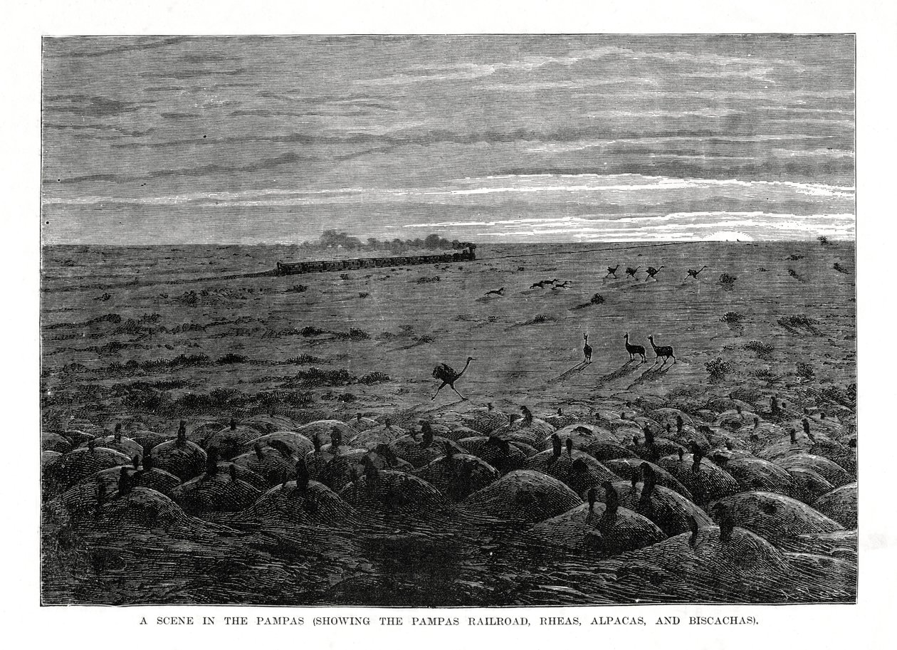 パンパス鉄道、南アメリカの低地、1877 作： 不明