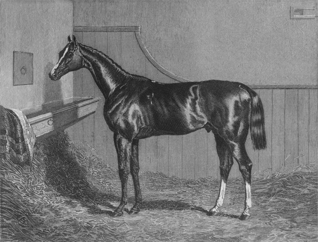 Rt。ほん。リッチフィールズ・エリス伯爵。聖レガーの勝者1836年、1911年 作： 不明
