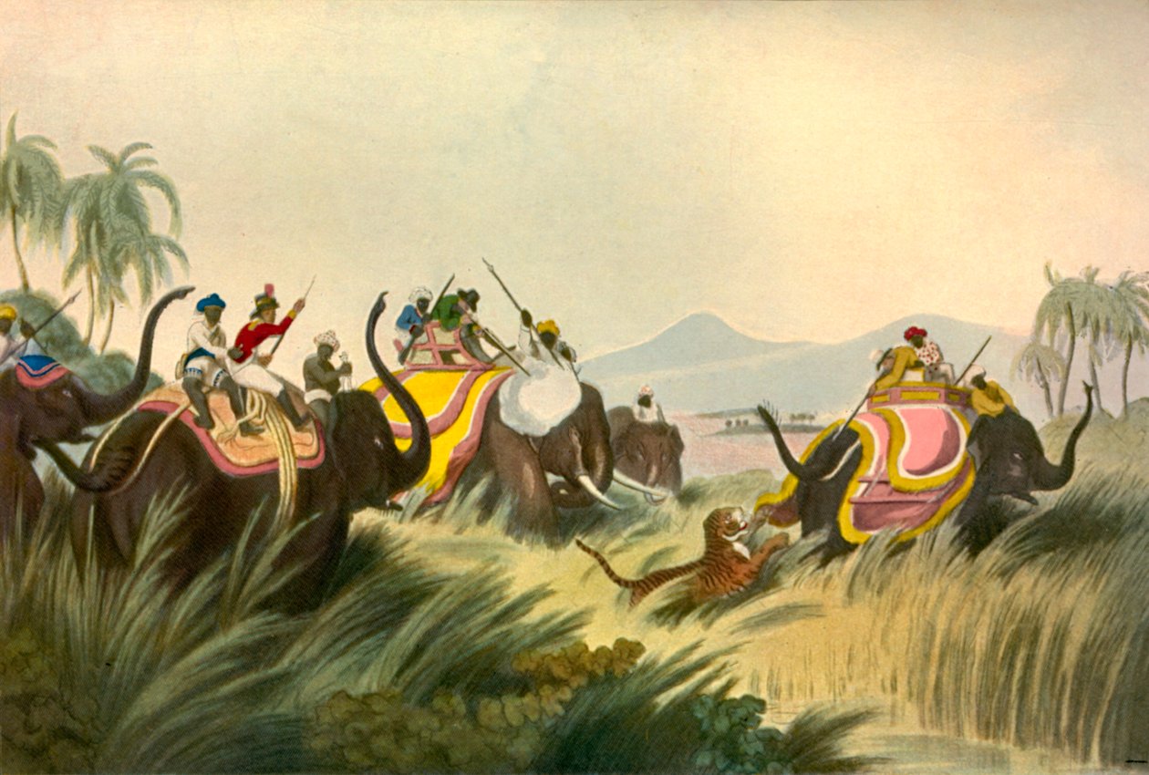 タイガーハント、c1808、1901。 作： 不明