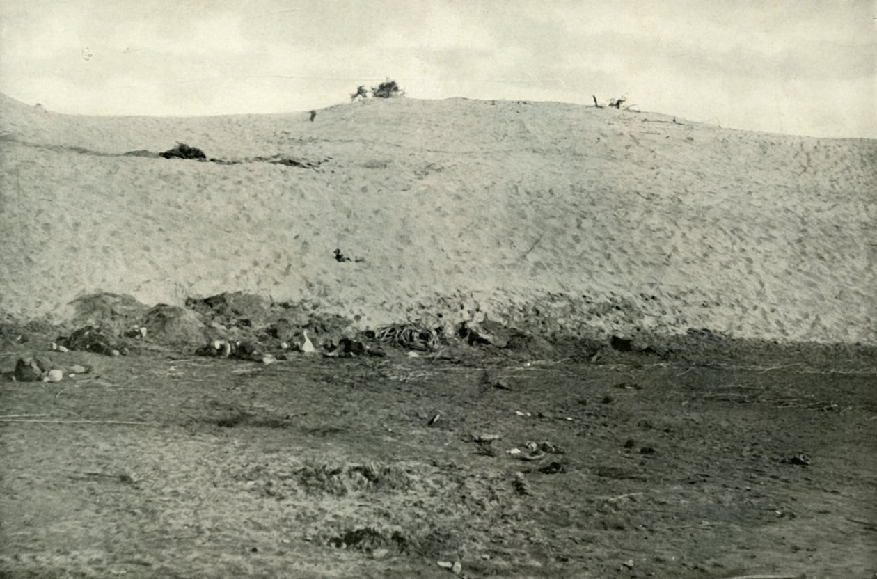 スエズ運河でのトルコの敗北、1915年、1919年。 作： 不明