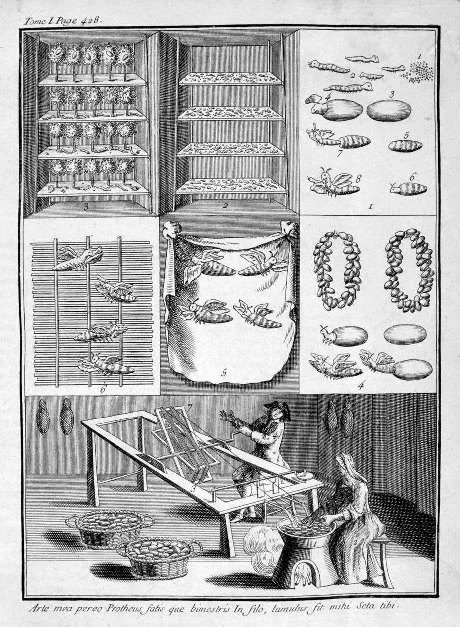 カイコの繁殖、1775 作： 不明