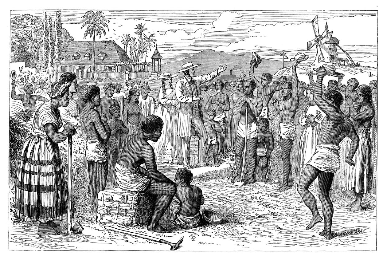 西インドのプランテーションでの奴隷の解放、19世紀初頭c1895 作： 不明