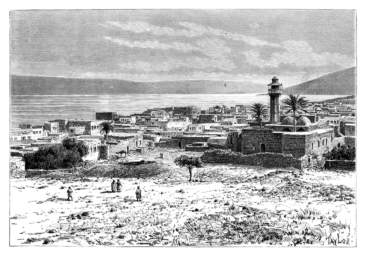 1895年、イスラエル、ティベリアの湖と都市 作： 不明