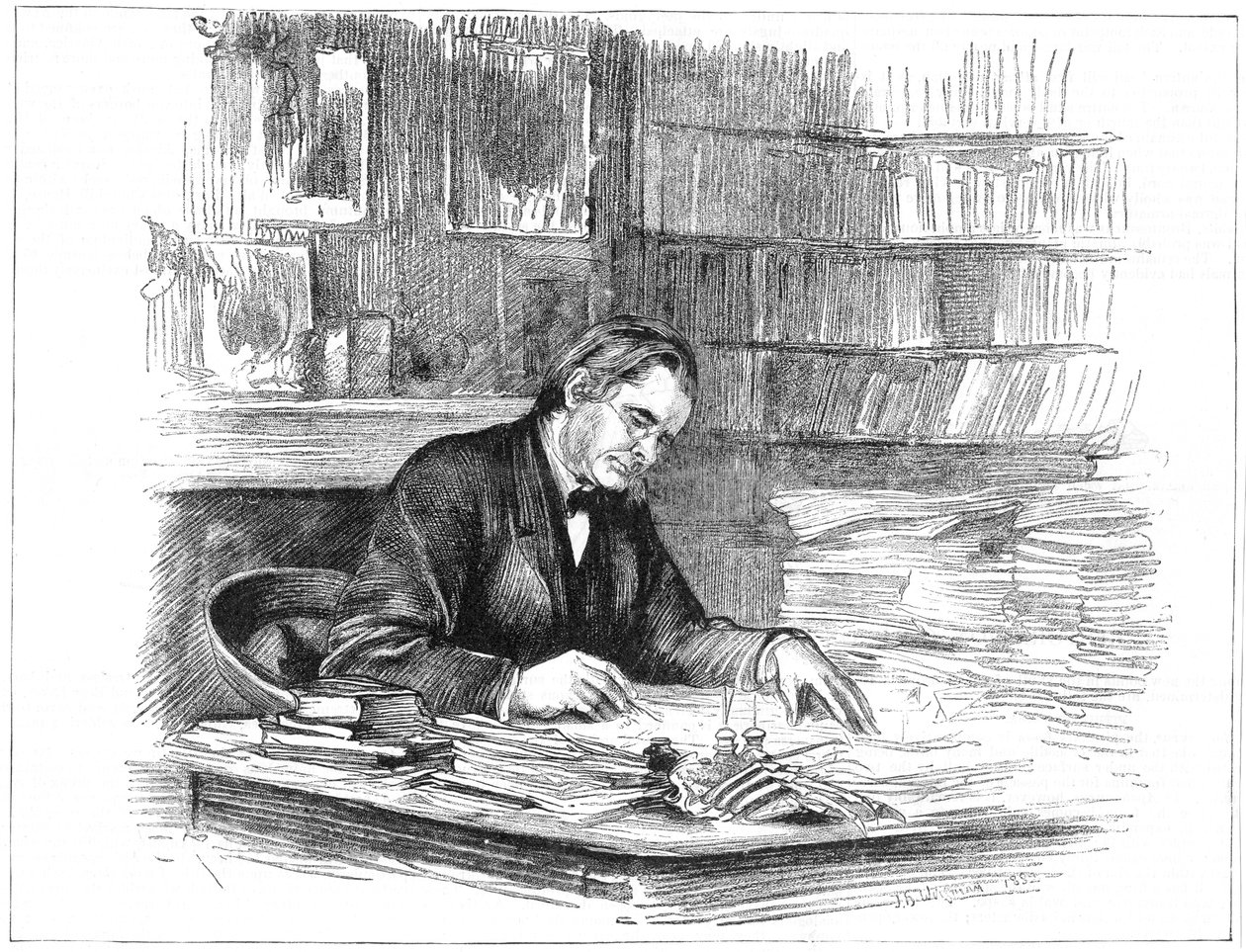 1882年にイギリスの生物学者であるトーマスヘンリーハクスリーが机で1883年 作： 不明