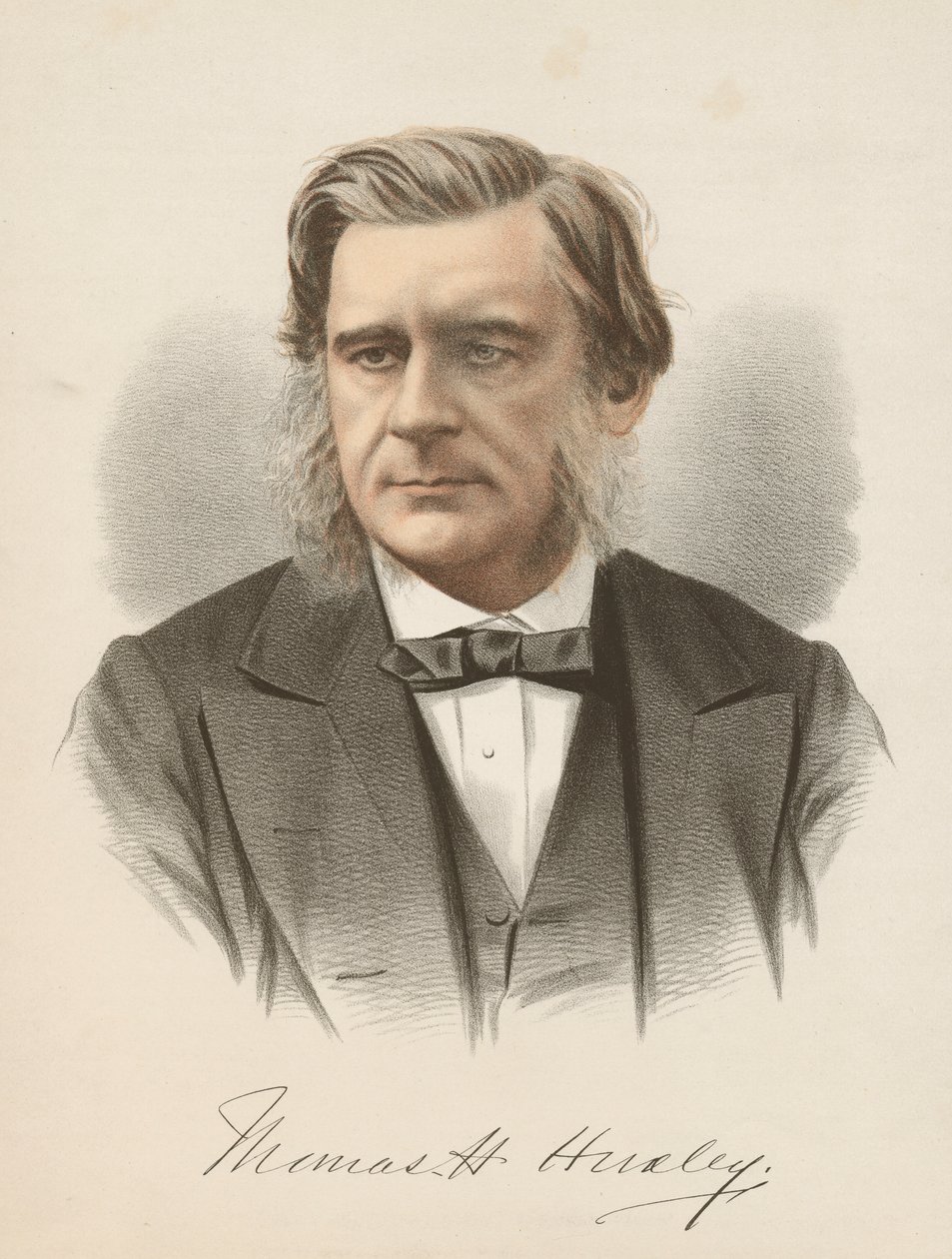 Thomas Henry Huxley、英語の生物学者、c1880 作： 不明