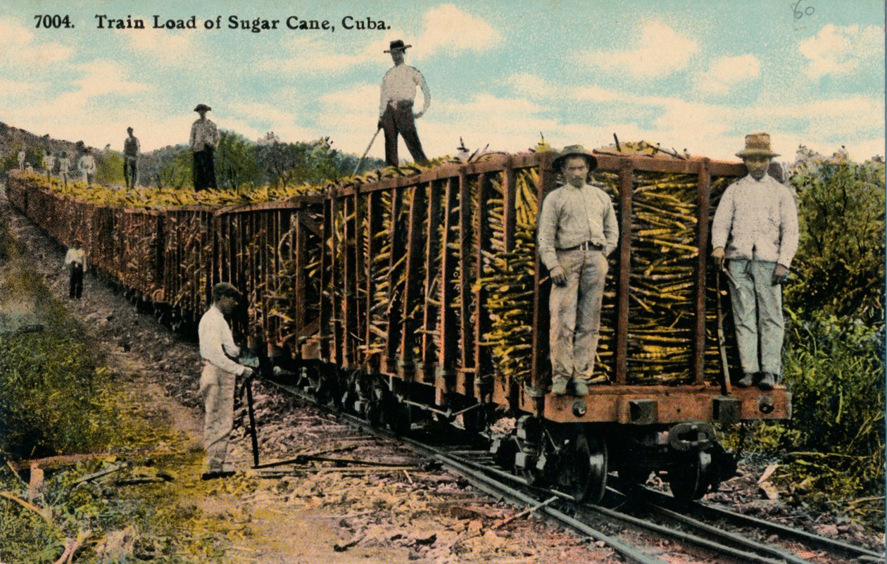 1915年キューバ、フィールドを離れるサトウキビの列車の負荷 作： 不明