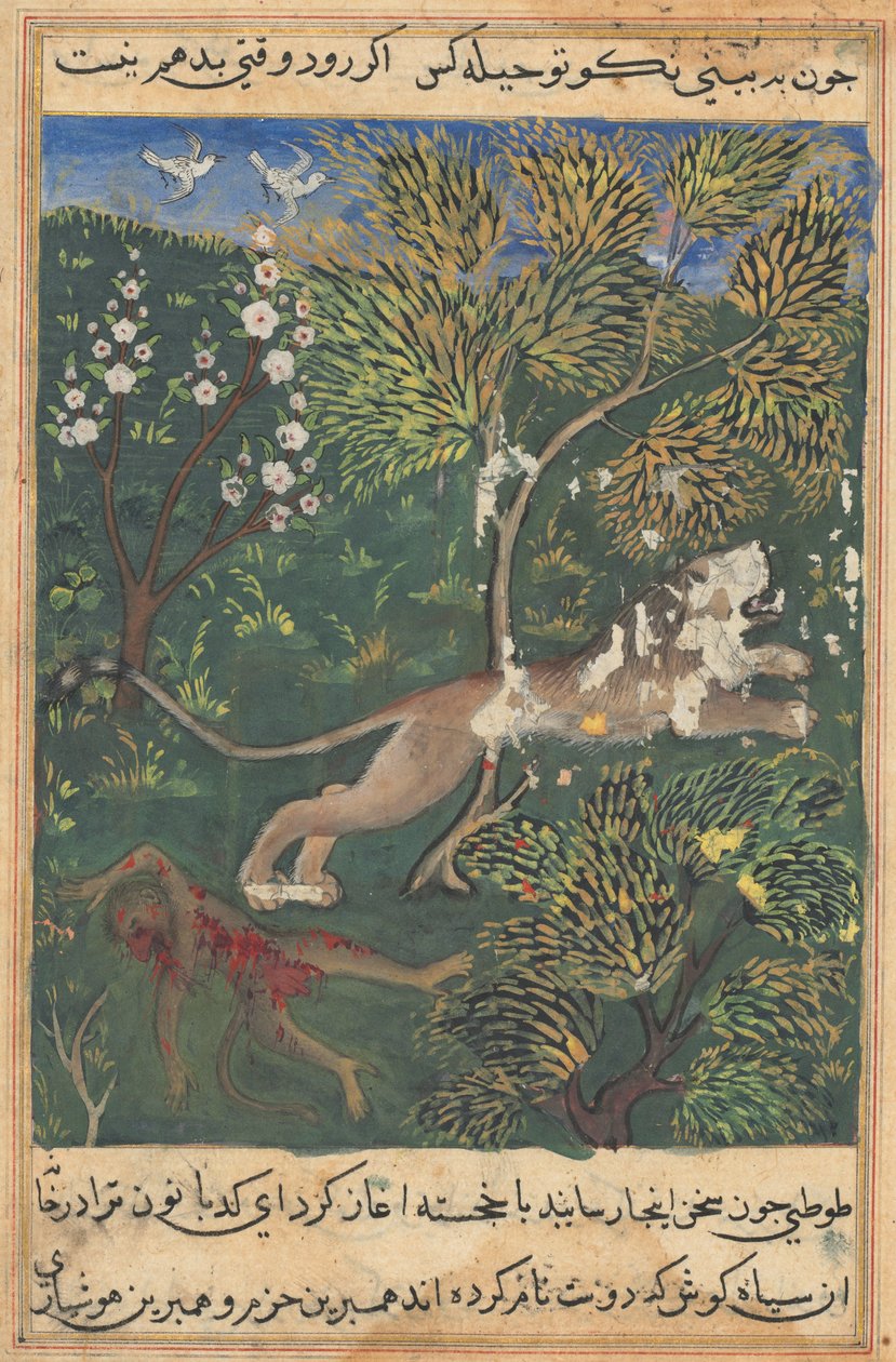 Turot-Nama Tales of a Parrot：Tale XXIX、c。 1560年。 作： 不明