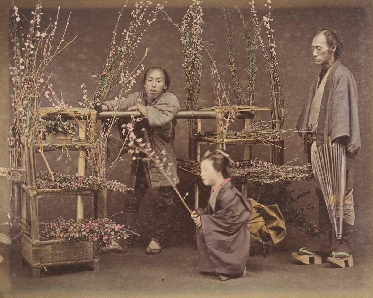 [開花枝でポーズをとる 2 人の日本人男性と 1 人の日本人女性]、1870 年代、 作： 不明