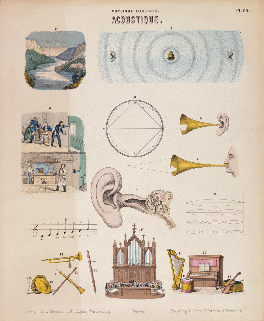 さまざまな楽器と音、ヴュルテンベルク、c1850 作： 不明