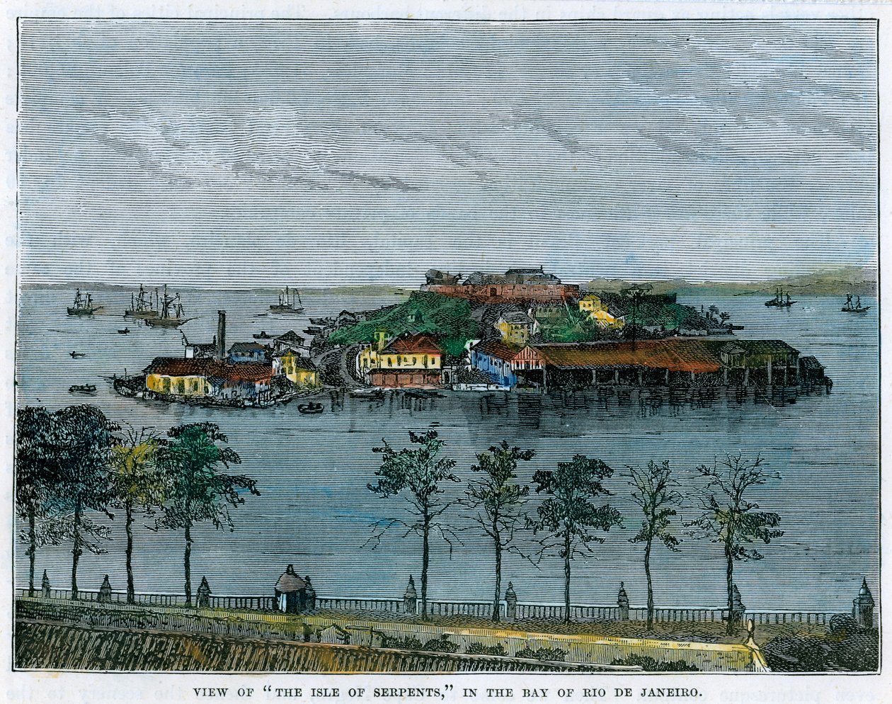 ブラジル、リオデジャネイロ湾の蛇の島の眺め、c1880 作： 不明
