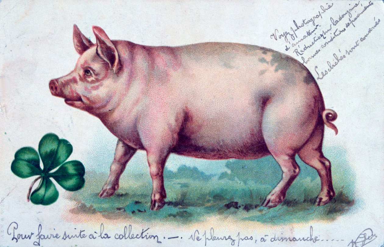 ヴィンテージフランスポストカード、c1900 作： 不明