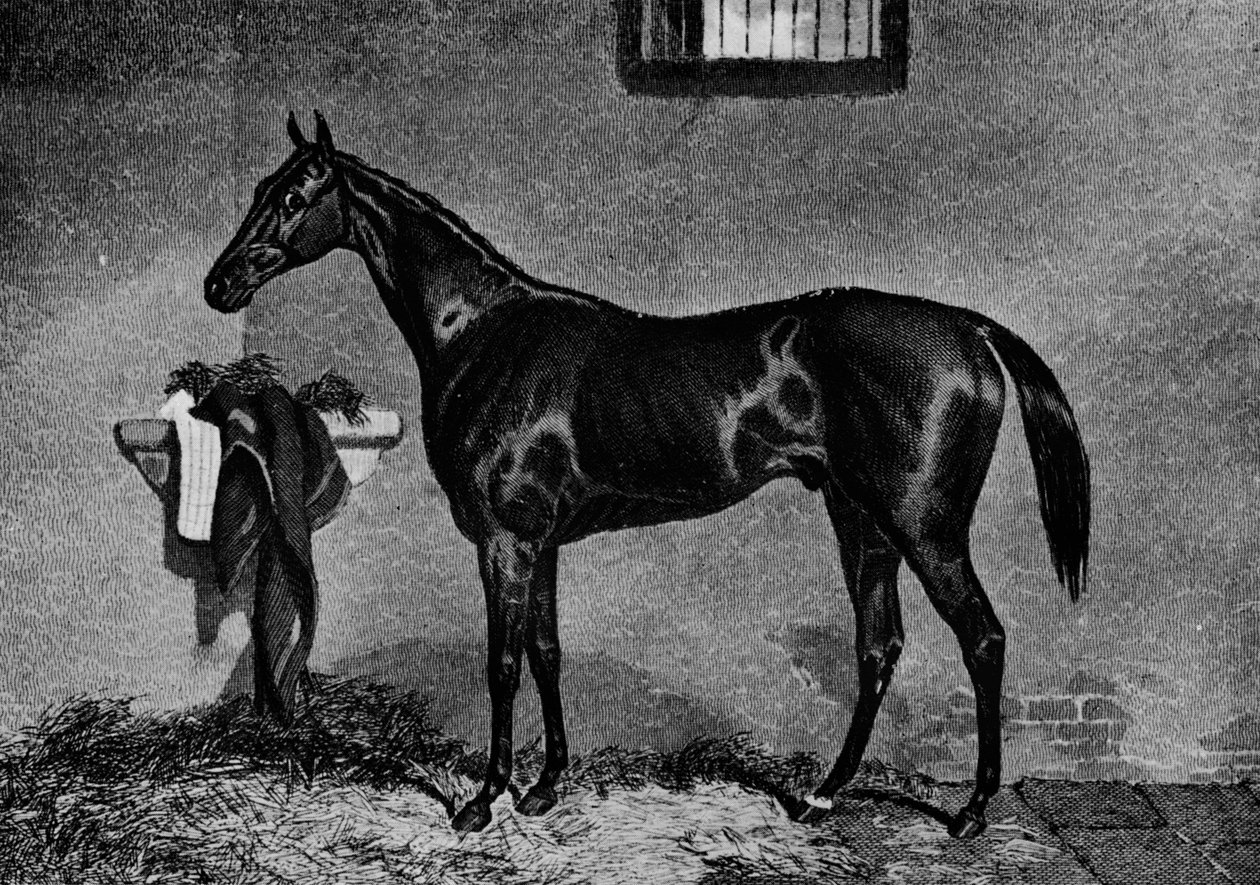 Voltigeur、1847-1874、1911 作： 不明