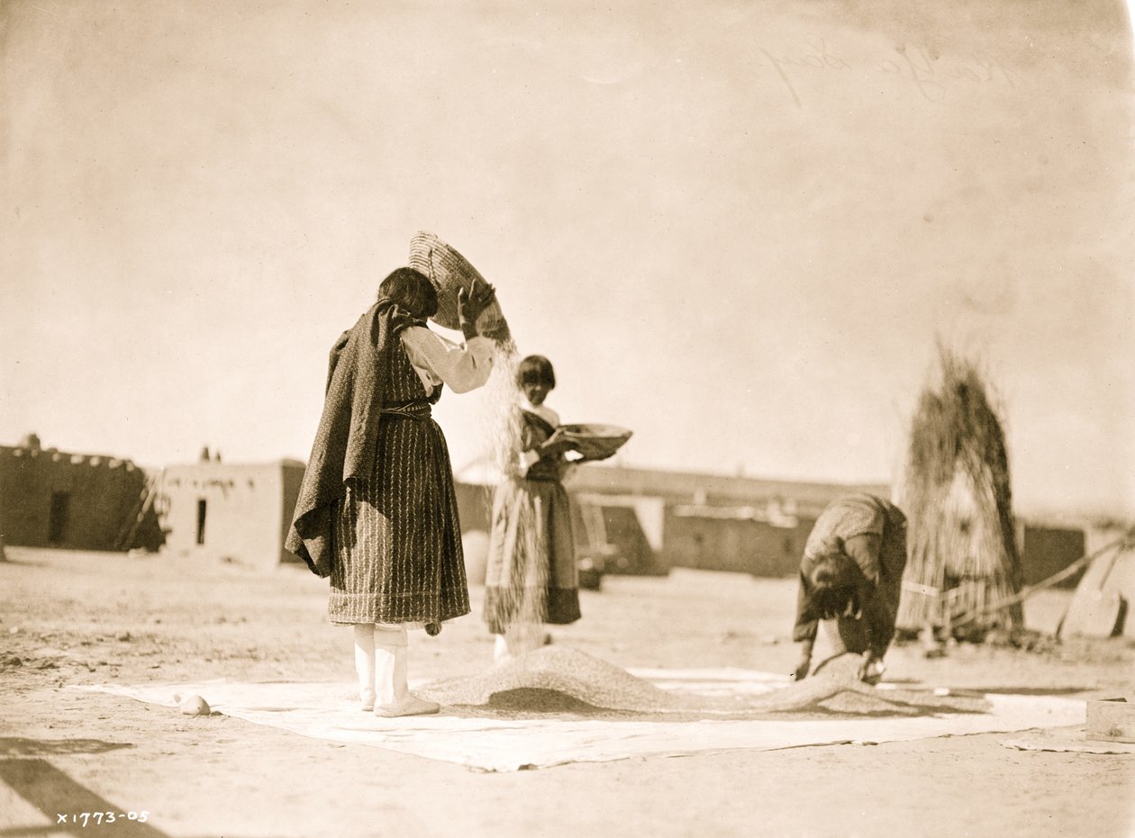 麦刈り風景--サンファン1905（写真 作： 不明