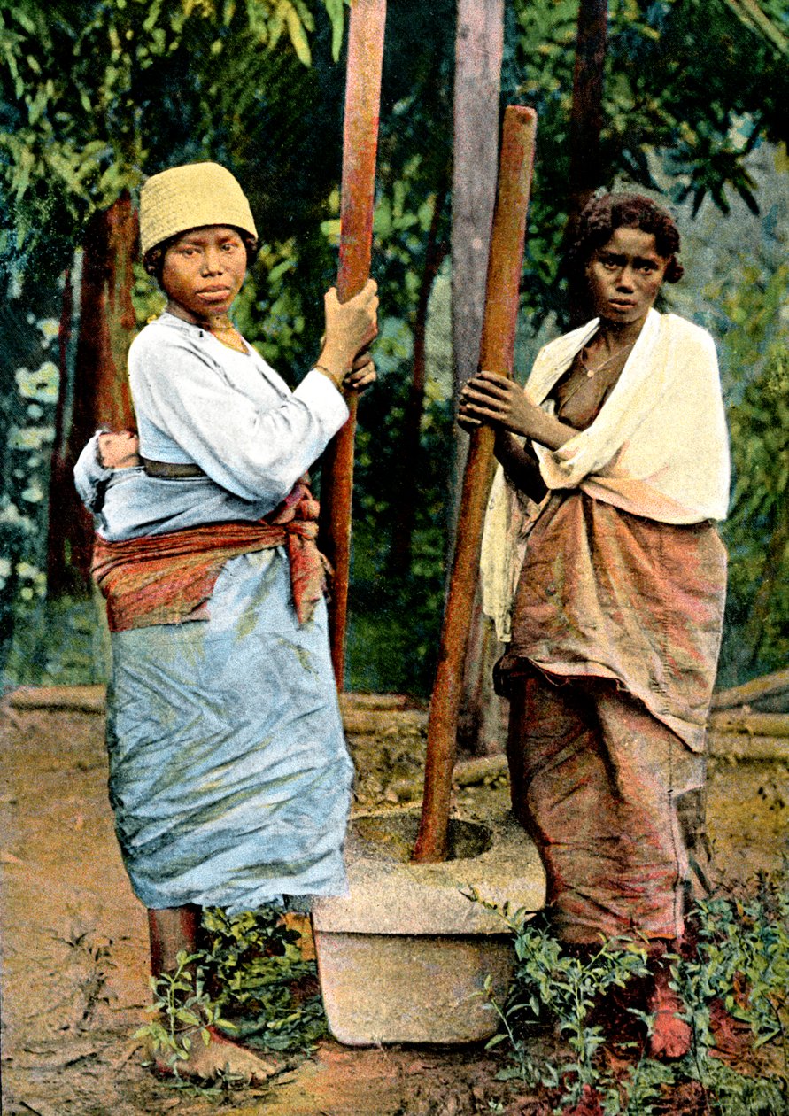 19世紀後半、米を打つ女性、マダガスカル 作： 不明