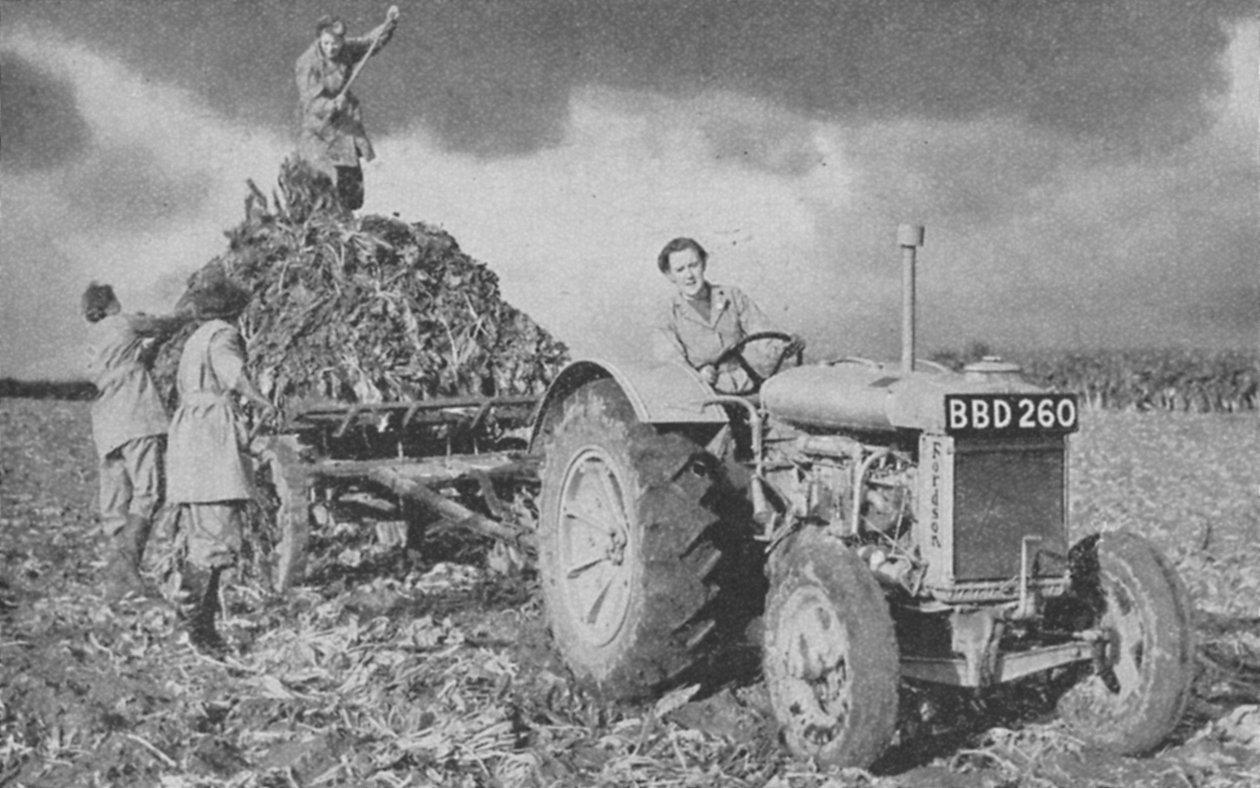 農地を持ち上げる女性陸軍、第二次世界大戦、1940 作： 不明