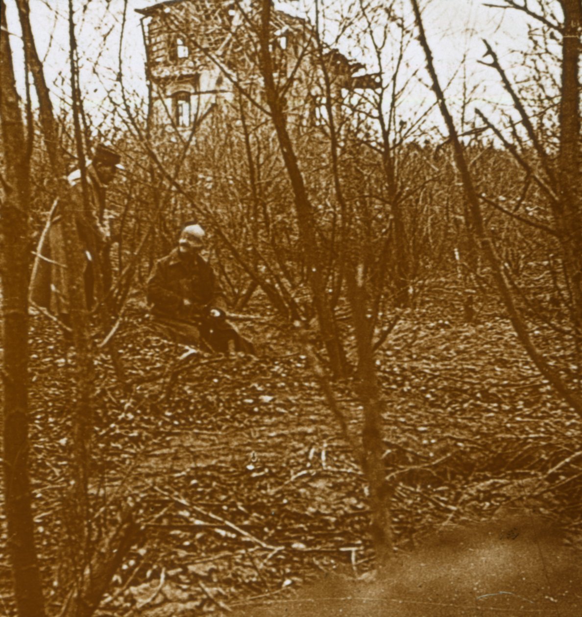 木材、c1914-c1918 作： 不明