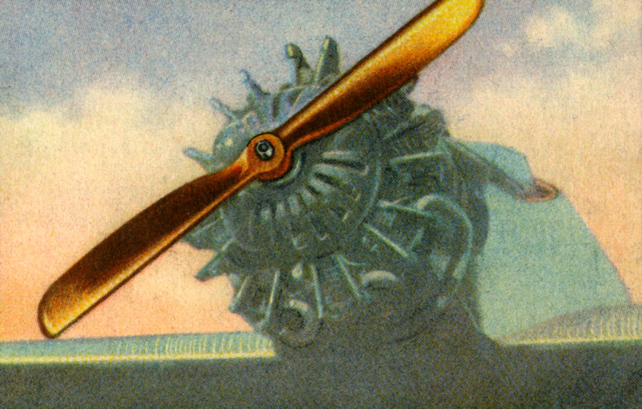 Schwarz Propeller-Werk社、1932年製の木製航空機プロペラ。 作： 不明