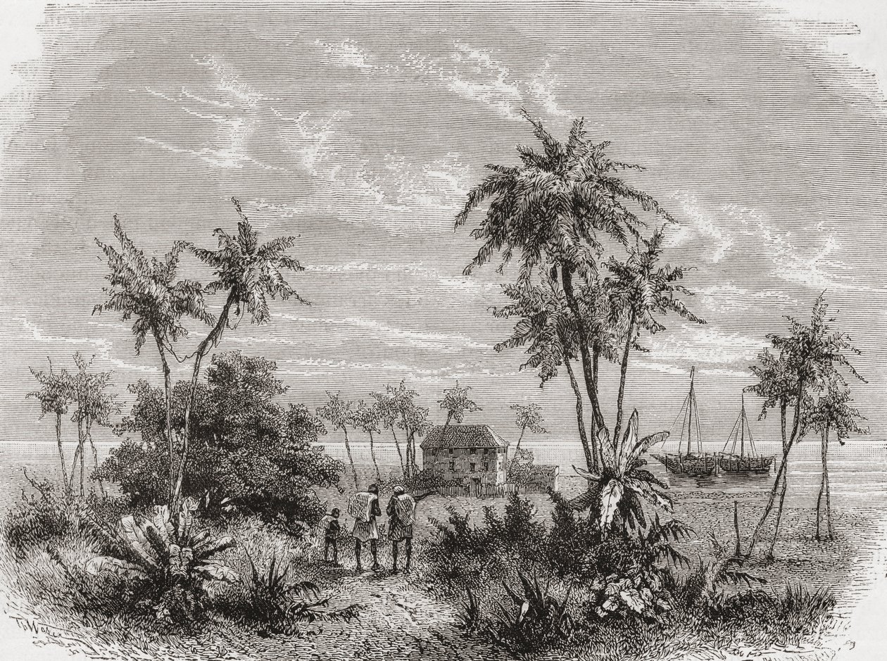 1878年に出版されたアンリテオフィルヒルディブランド（1824-97）によって彫刻された、「手の中の世界」からのイラスト 作： 不明不明