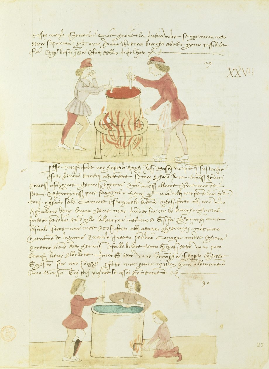 Precetti dellArte della Seta（シルクギルドのルール）からシルクを染色 作： 不明不明