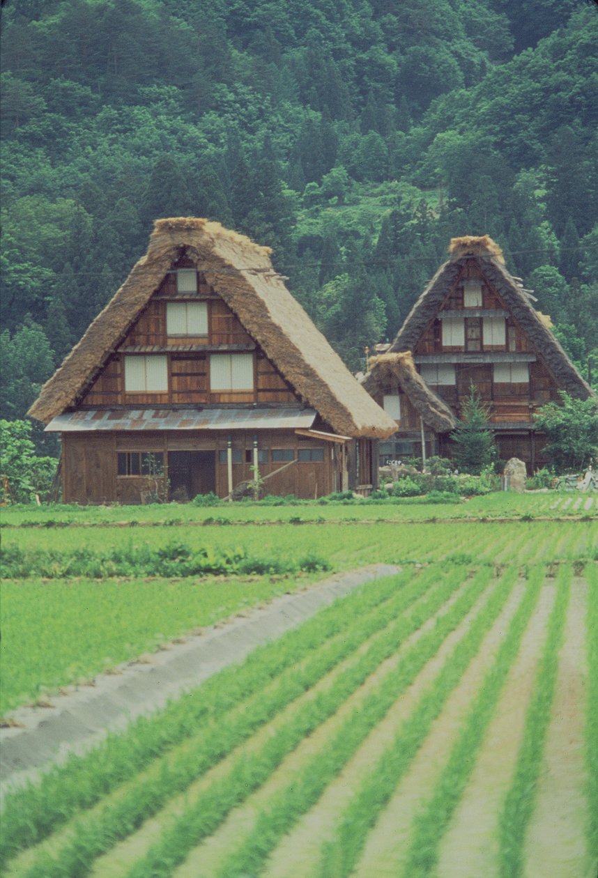 Shirakawa Village, Giju, Japan  作： 不明不明