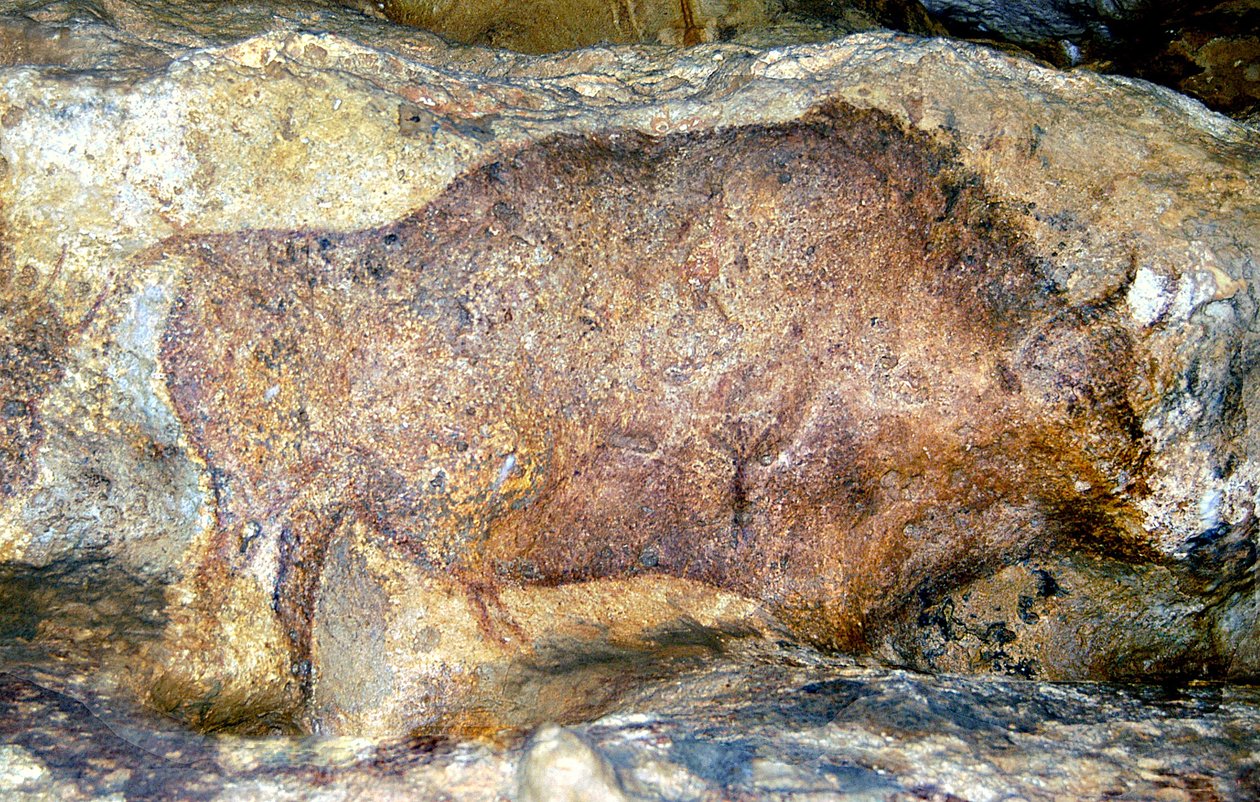 Font De Gaumeのバイソン、紀元前25,000年頃 作： 不明不明