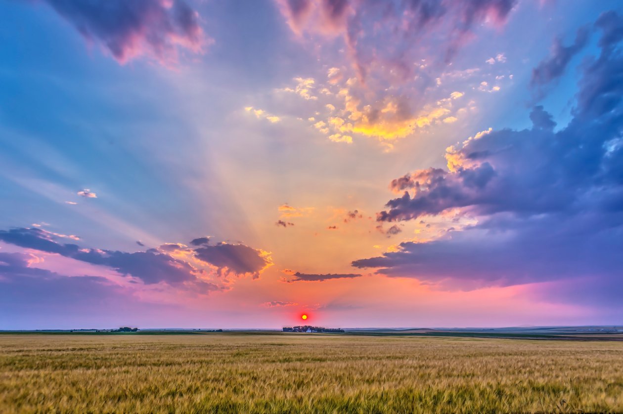 霞がかかった赤い夕日、空に影を落とす？薄明光線-2014年8月6日、アルバータ州の家の近くの熟した麦畑で雲を照らす 作： 不明不明