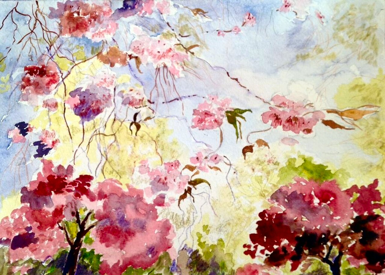 不明な画像 作： 不明不明