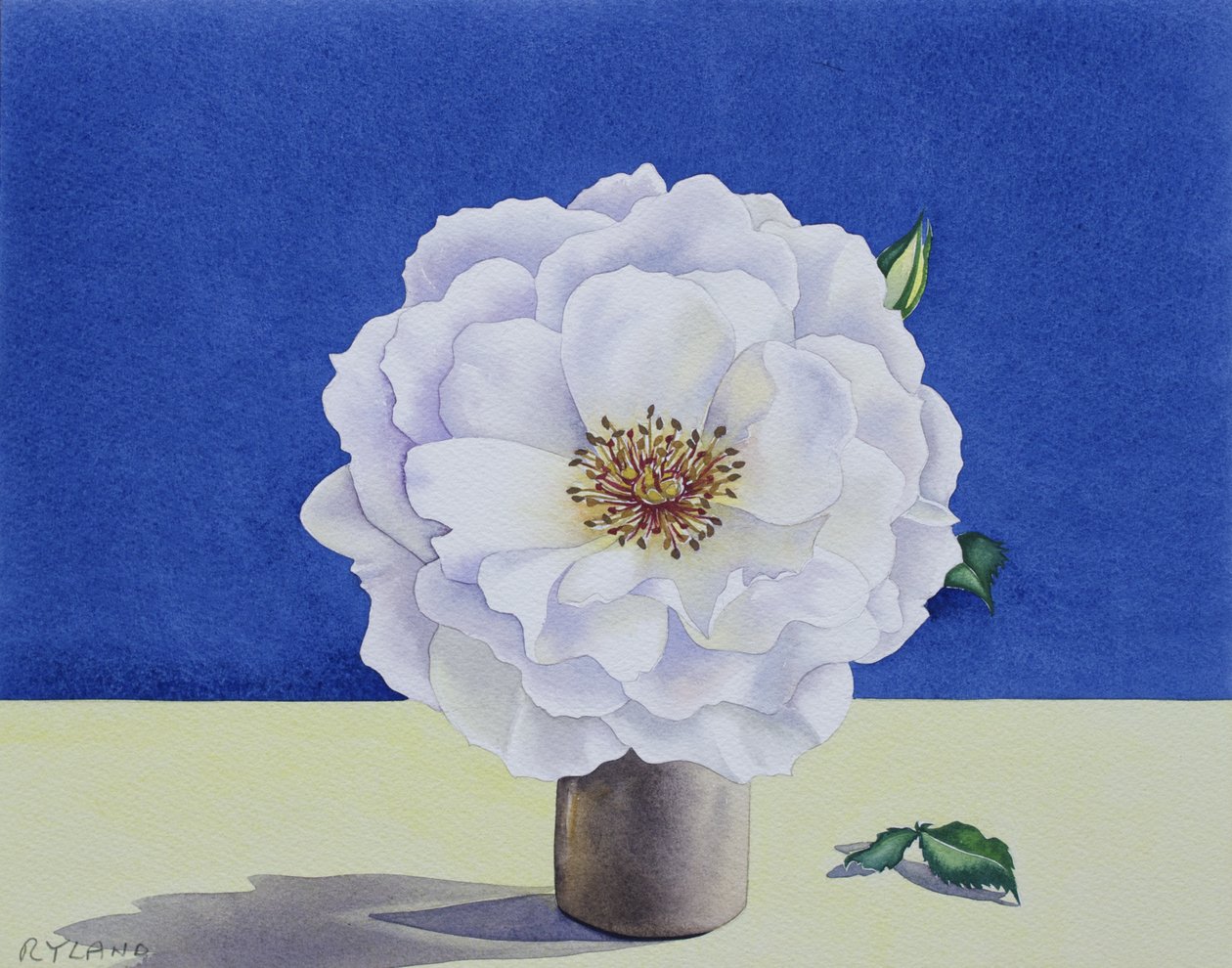 不明な画像 作： 不明不明