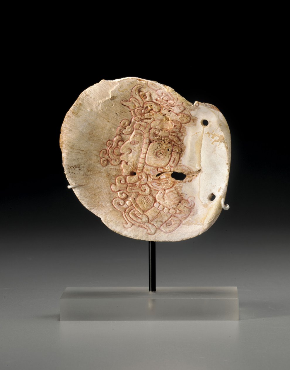 役人の胴体の輪郭が描かれたマヤ貝の胸郭、450〜650年頃 作： 不明